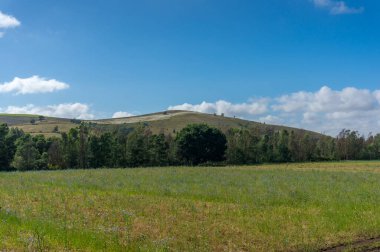 Countryside nature background with field and hills