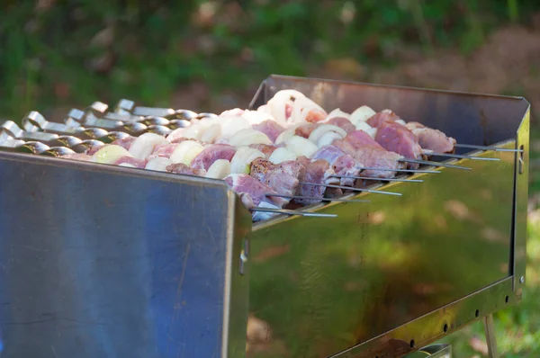 Zblízka kousky masa s cibulí na výčnělcích na grilu — Stock fotografie