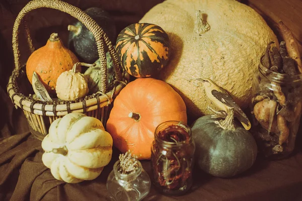 Decoraciones de halloween: calabazas en la cesta —  Fotos de Stock