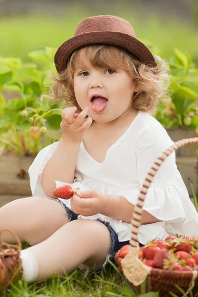 Aranyos kis lány a kosár tele stawberry — Stock Fotó