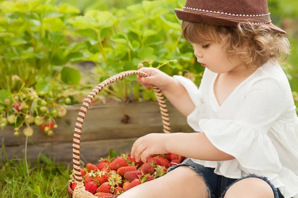 Mignonne petite fille avec le panier plein de fraises — Photo