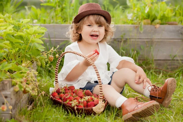 sepet stawberry dolu olan sarışın curl saç yürümeye başlayan çocuk kız, 