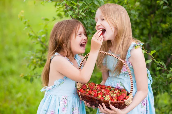 Dos hermanas pequeñas que se crían unas a otras fresas orgánicas en el — Foto de Stock