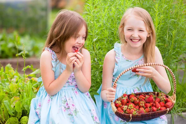 Dvě sestřičky s koš plný organických jahod v t — Stock fotografie