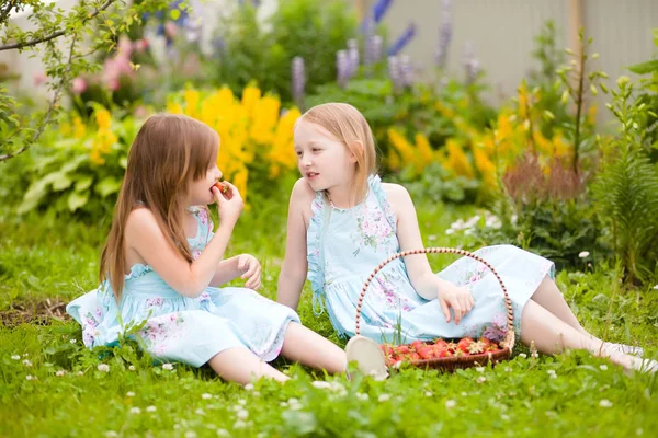 Deux petites sœurs avec panier plein de fraises bio en t — Photo