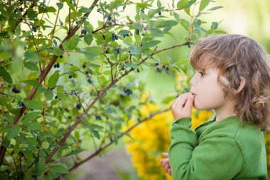 Şirin Bebek kız açık havada Hanımeli yiyor