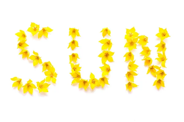 Word SUN written with yellow flowers — Stock Photo, Image