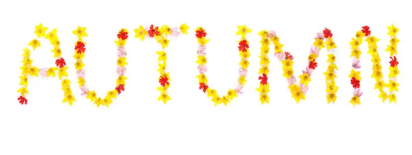 Palavra AUTUMN escrito com flores amarelas e vermelhas — Fotografia de Stock