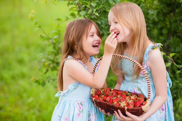 Dos hermanitas con cesta llena de fresas orgánicas Fotos De Stock