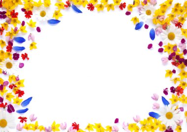 yuvarlak renk çiçek çerçeve beyaz arka plan üzerinde