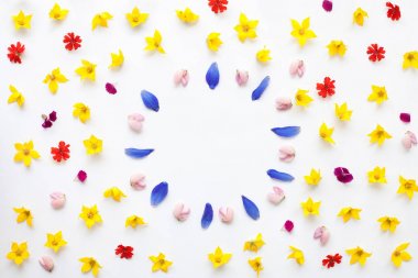 Düz yatıyordu renk bahçe ve çayır çiçekli çerçeve çiçek