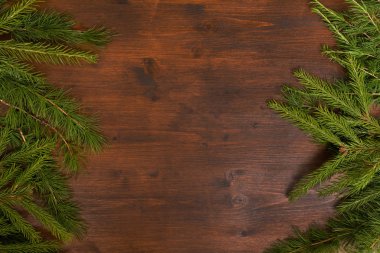 Melez (bitki) ve çam dalları ile kırsal kış arka plan 