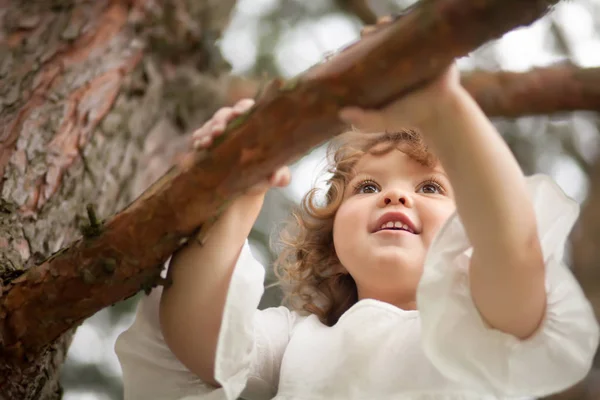 Lächelndes Kind klettert im Wald auf eine Kiefer — Stockfoto