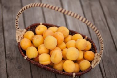 taze olgun kayısı aldı