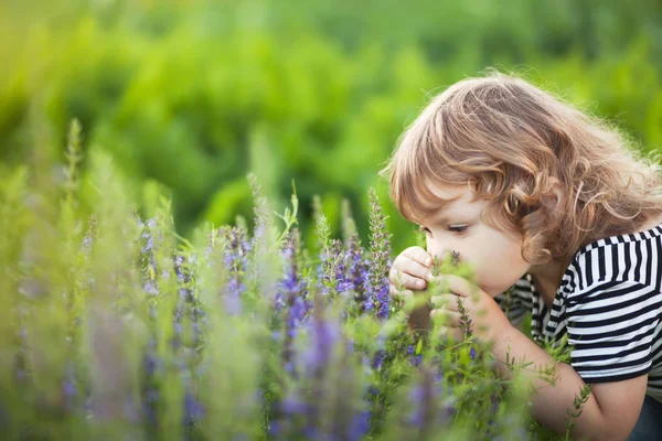 Очаровательная малышка, нюхающая фиолетовые цветы. . Лицензионные Стоковые Изображения