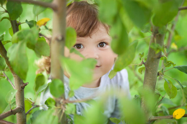 Child sitting on a tree and hiding