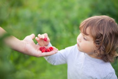 Sevimli küçük bebek kız rasberry babalar el yiyor