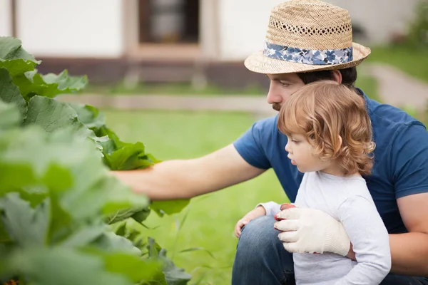 Vader die zijn kind te onderwijzen hoe planten groeien in de tuin — Stockfoto