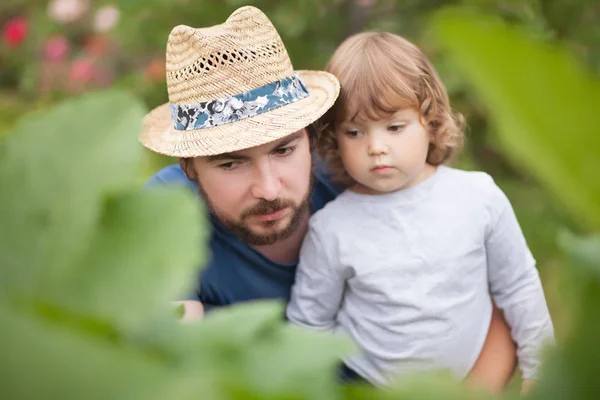 Отец показывает своему ребенку, как растут растения в саду — стоковое фото