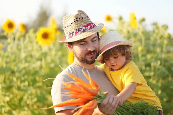 Vader en dochter op een familieboerderij met oogst van wortel — Stockfoto