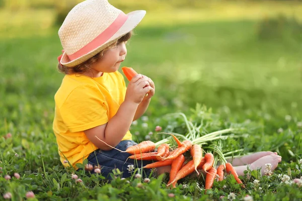Roztomilá holčička sedí na zelené trávě, jíst mrkev — Stock fotografie