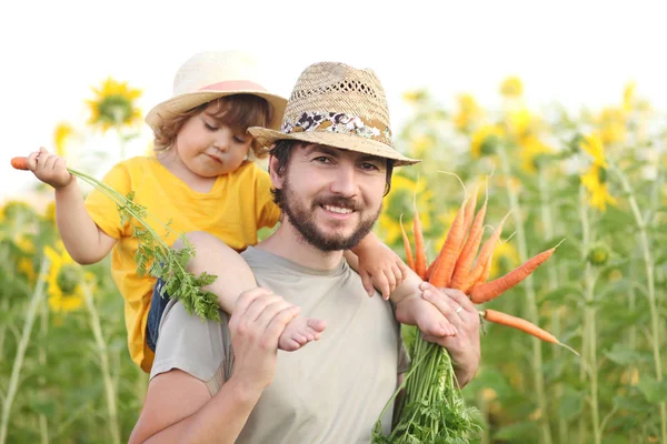 Vader en dochter op een familieboerderij met oogst van wortel — Stockfoto