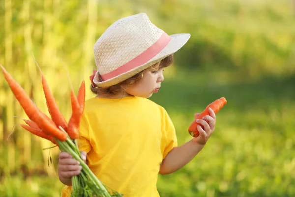Roztomilá holčička s partou organických mrkví — Stock fotografie