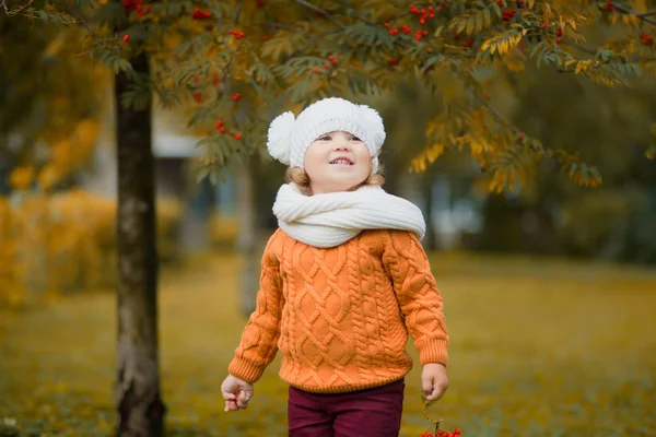 Adorable retrato de niña en un hermoso día de otoño — Foto de Stock