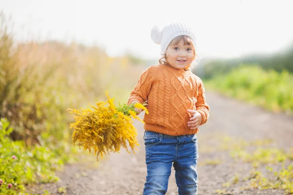 Adorable retrato de niña en un hermoso día de otoño — Foto de Stock