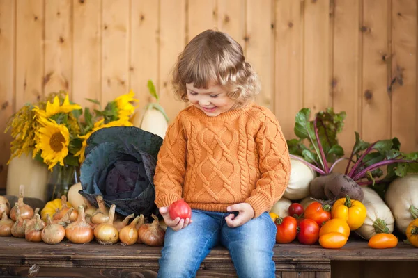 Rozkošný usmívající se batole farmář s podzimní sklizní — Stock fotografie