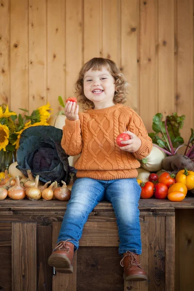 Rozkošný usmívající se batole dívka s podzimní sklizní — Stock fotografie