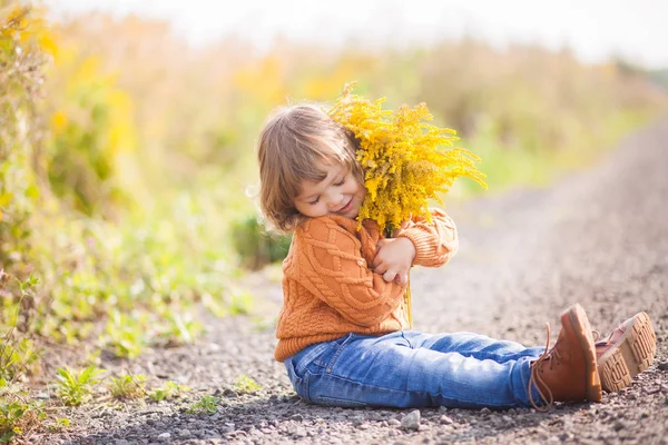 美丽的秋日的可爱的蹒跚学步的女孩肖像 免版税图库图片