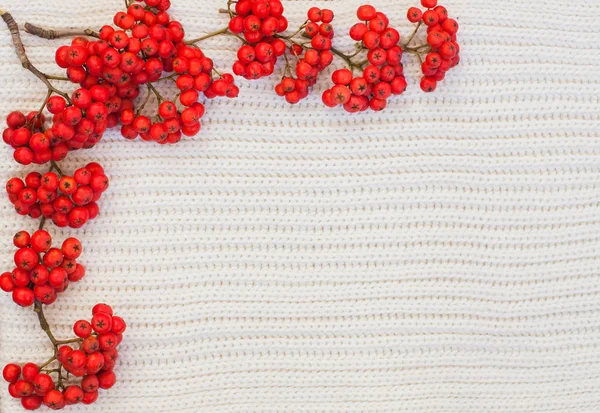 Rowan berry ile düz yatıyordu çerçeve