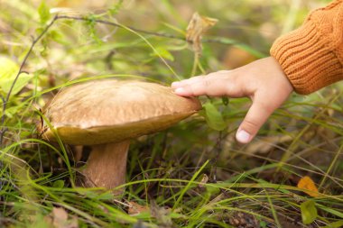 Portre, çocuk el musroom, sonbahar orman.