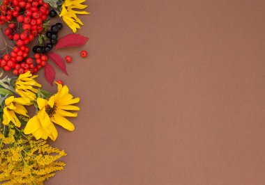 Sonbahar düz yatıyordu tasarlamak çerçeve.