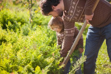 Baba ve çocuk bahçede çalışan.