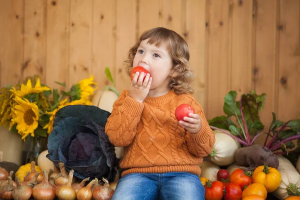 Rozkošný usmívající se batole dívka s podzimní sklizní — Stock fotografie
