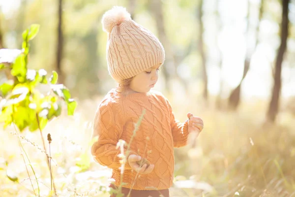 Adorable niña descubriendo la naturaleza en el bosque de otoño, día soleado . — Foto de Stock