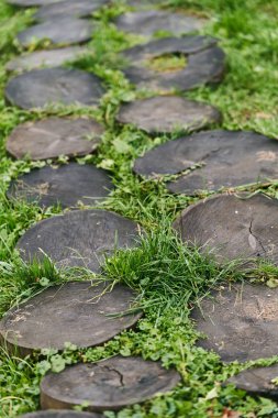 Yuvarlak bir ağaç yolu.