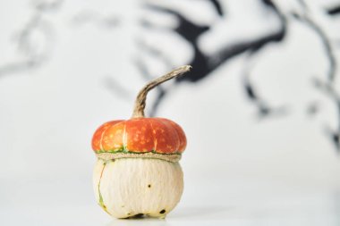 Mantar şekilli dekoratif balkabağı 