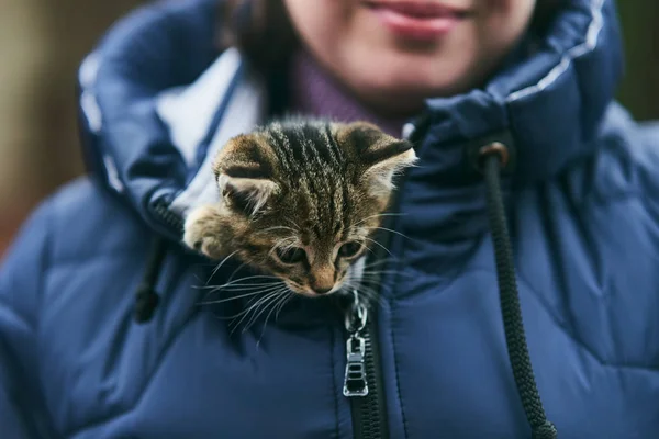 Küçük sevimli kedi yavrusu ceketiyle göğsünde güneşleniyor. — Stok fotoğraf