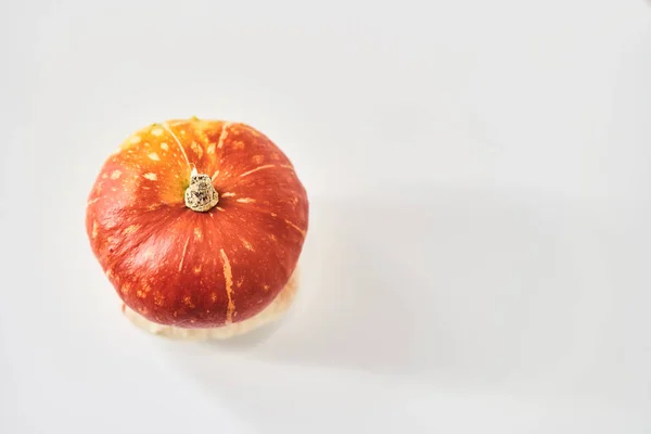 Calabaza decorativa en forma de hongo — Foto de Stock