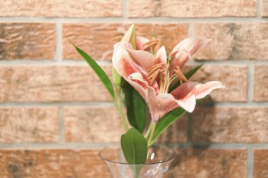 Vazodaki pembe zambak çiçeği. Yakın plan.