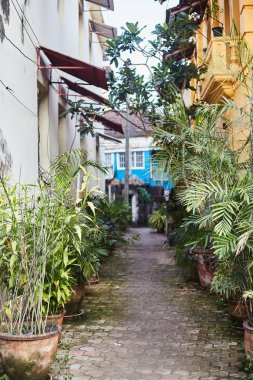 Panaji, Hindistan - 15 Aralık 2019: Panjim, Goa 'da renkli Portekiz evleriyle çevrili dar bir yol