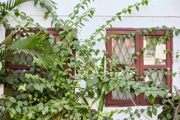 Панаджі, Гоа, Індія - 15 грудня 2019: Фасади будівель і вікон. Вулиці столиці штату Гоа Панаджі. — стокове фото