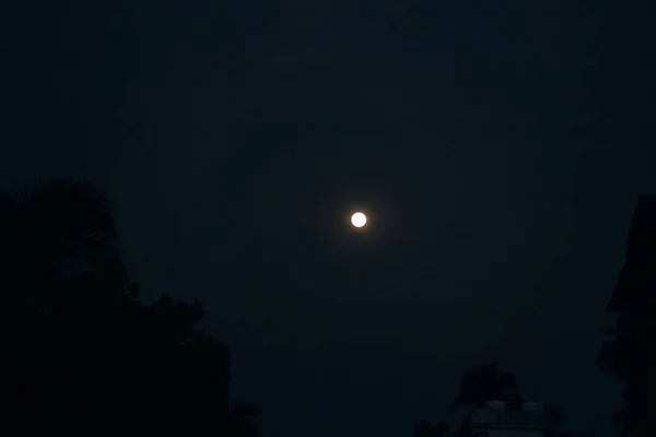 보름달이 떴어. 하늘에 떠 있는 보름달 — 스톡 사진