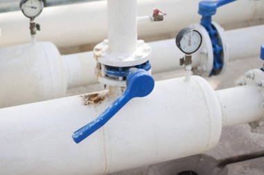 Serada otomatik sulama sistemi var. Büyük cam sera. Sera koşullarında sebze yetiştirmek