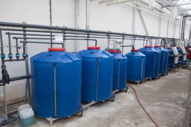 Serada otomatik sulama sistemi var. Büyük cam sera. Sera koşullarında sebze yetiştirmek