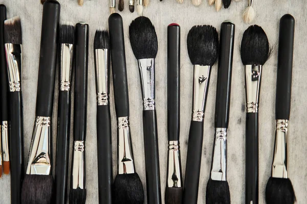 Cepillos de maquillaje negro con pila natural. Set de pinceles profesionales para maquillador — Foto de Stock