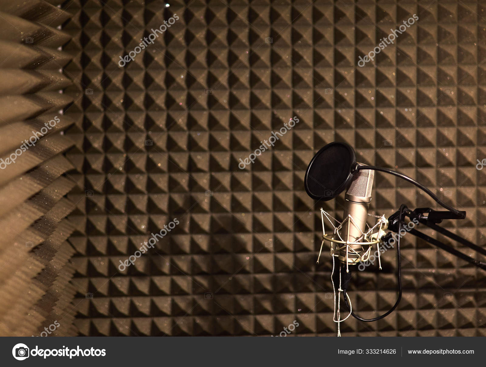 Professional studio microphone for voice recording. Sound recording studio.  Soundproof room Stock Photo by ©Dimanikin 333214626